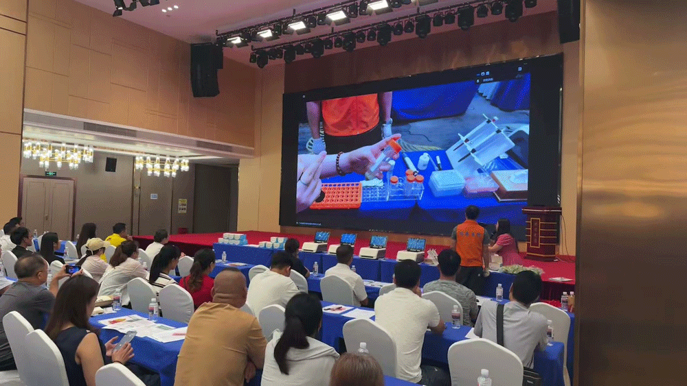 1749462768951956.png 999.png